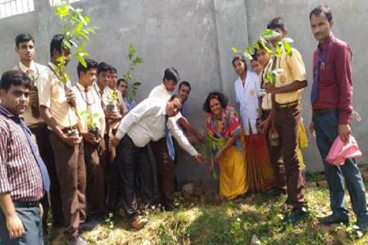 Goethals Public School-Tree Plantation