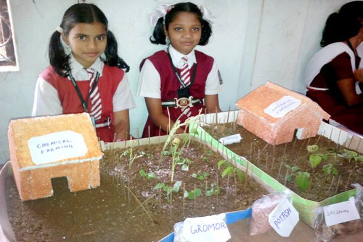Swami Vivekananda Bana Bharti Vidyapith-Science Exhibition