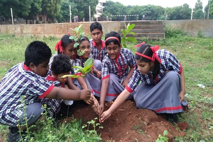 Kendriya Vidyalaya No 1-Plantation