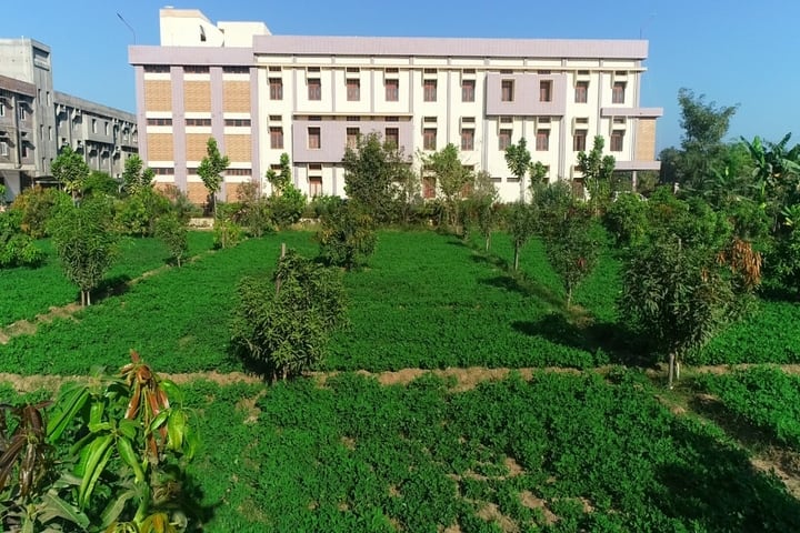 St Joseph Of Cluny School-Garden