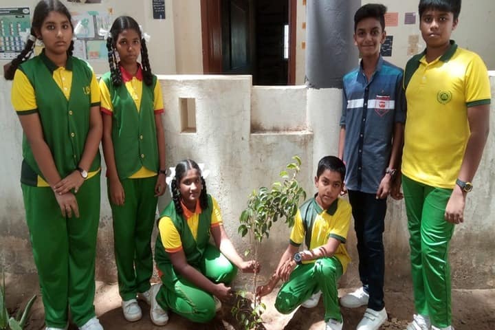 Universal Academy High School-Go Green