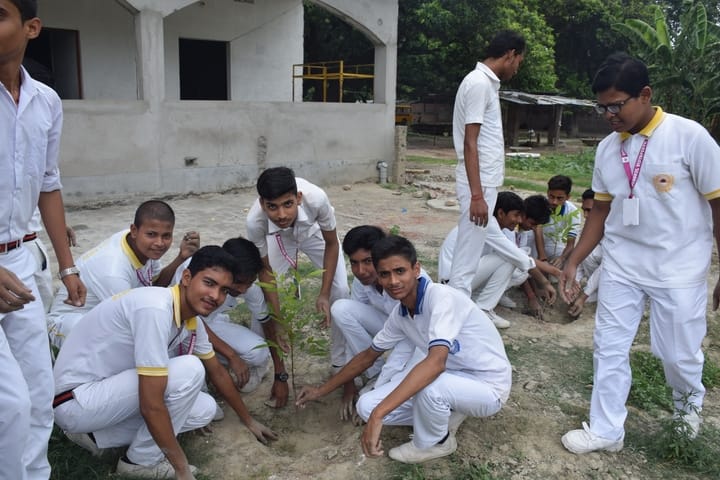 Gurukul Vidyapeeth-Tree Plantation