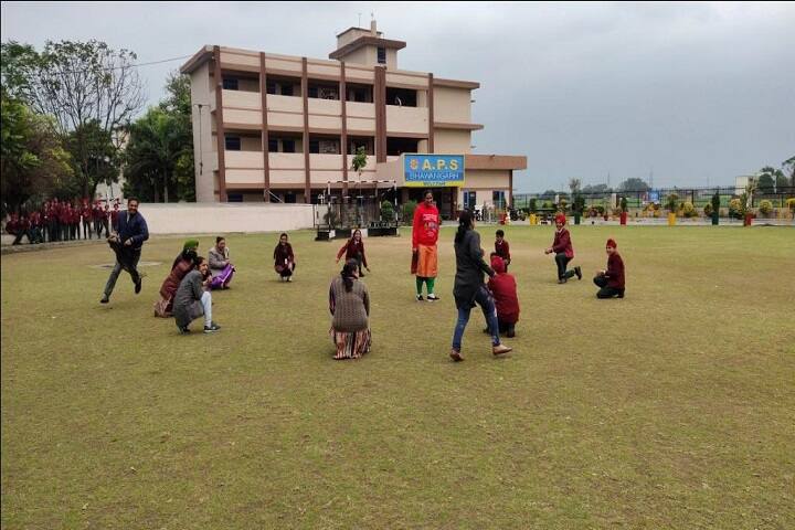 Alpine Public School-Play Area