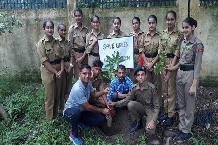 Army Public School-Tree Plantation