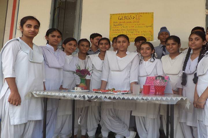 Baba Isher Singh N Public School-Others exhibition