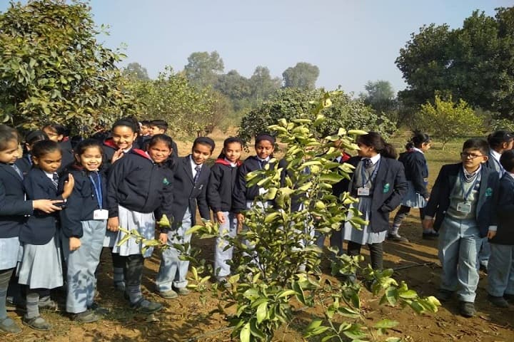 Bal Bharati Public School-Others plantation