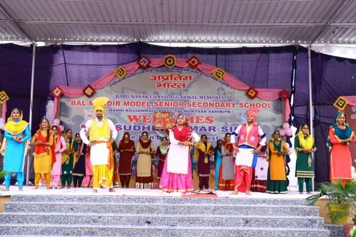 Bal Mandir Model Senior Secondary School-Dance