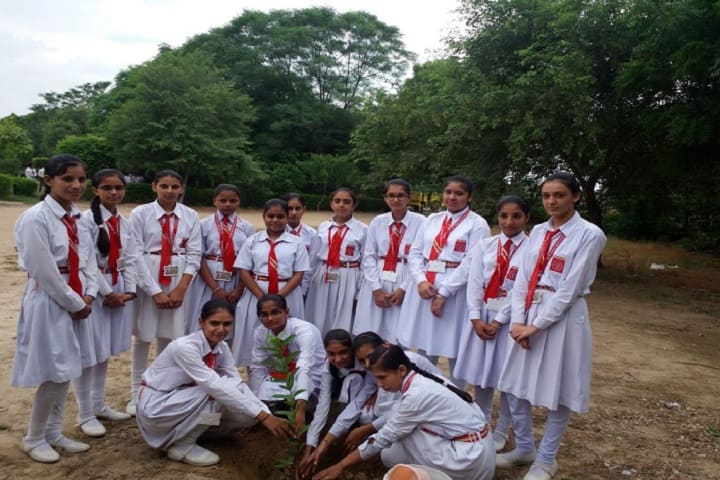 Bal Vatika Public School-Plantation