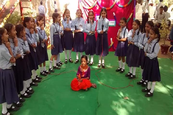 BDS Public School-Others activity