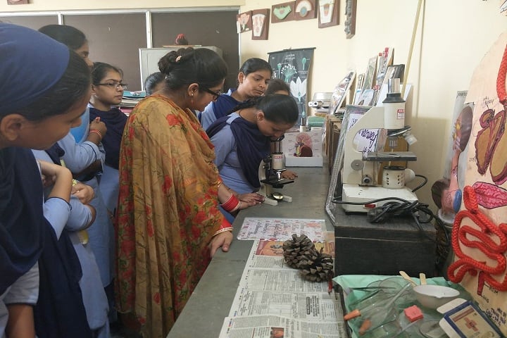 Bhai Nand Lal Public School-Laboratory biology
