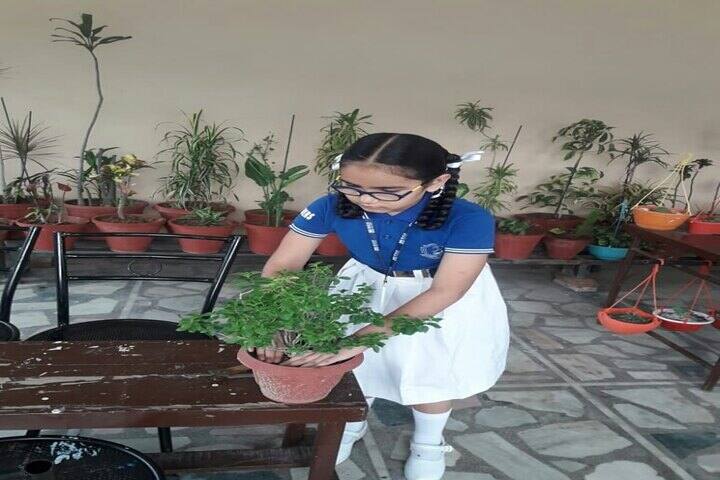 Bhupindra Global School-Plantation
