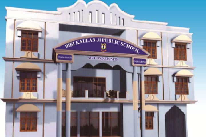 Bibi Kaulan Ji Public School-Campus-View