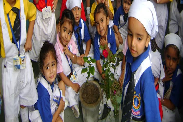 Bibi Kaulan Ji Public School-Others plantation