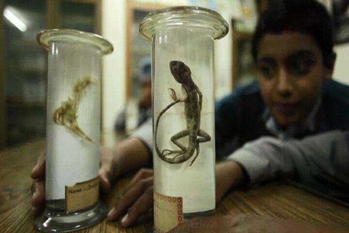 C T Public School-Biology Lab