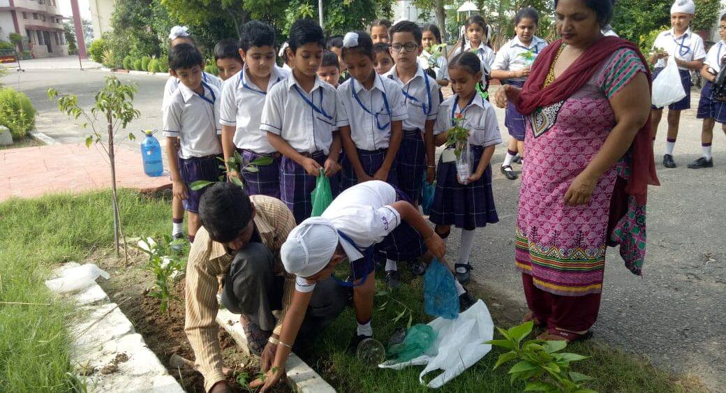 Cambridge International School-Plantation