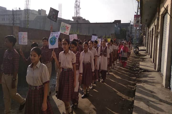 DAV Centenary Senior Secondary Public School-Rally