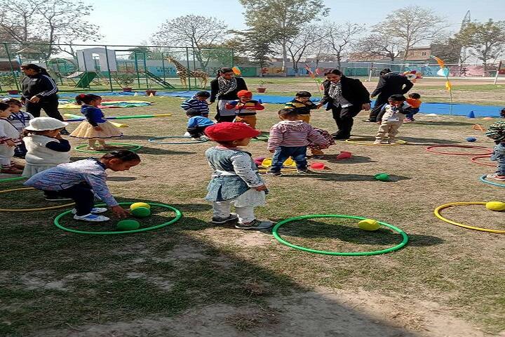D C Model International School-Activity