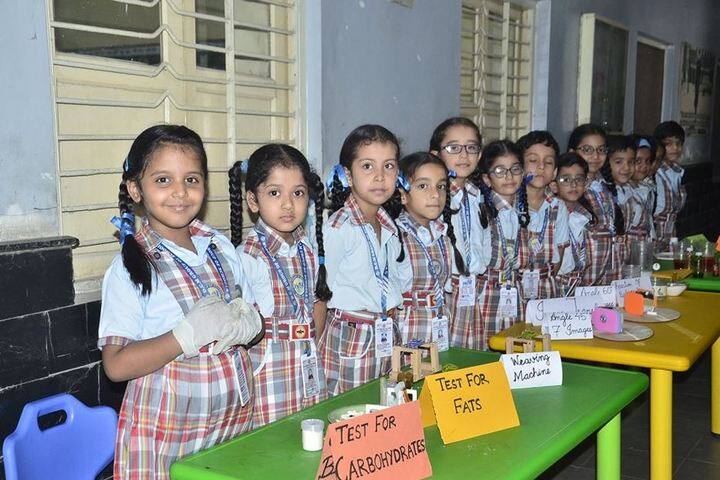 D C Model Senior Secondary School-Exhibition