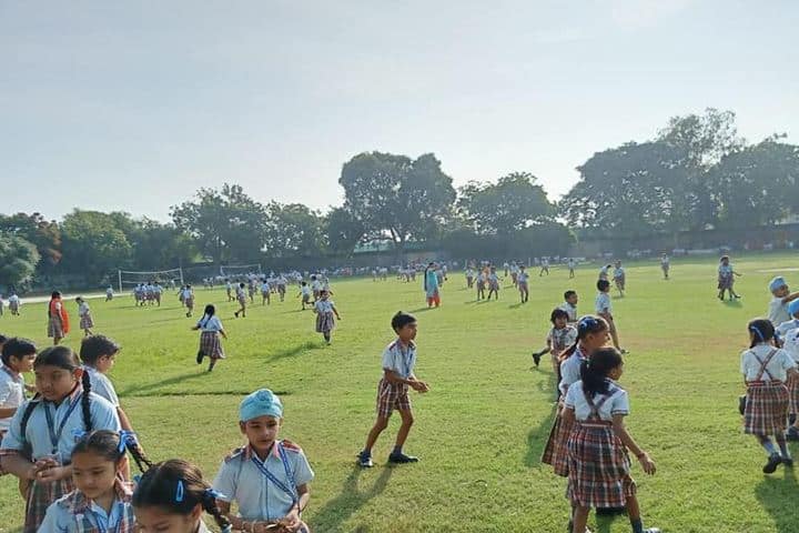 D C Model Senior Secondary School-Play Ground