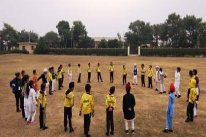 Darrick International School-Play Ground