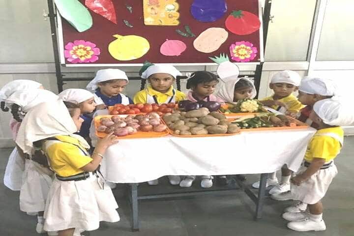 Data Bandhi Chhod Public School-See And Learn