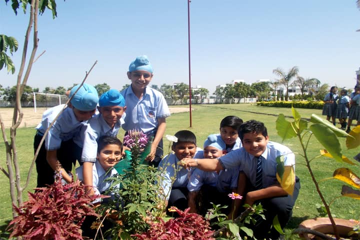 DAV Global School-Plant A Tree