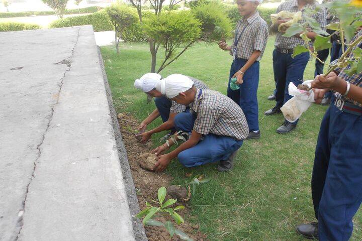 Dawindra International Public School-Plantation