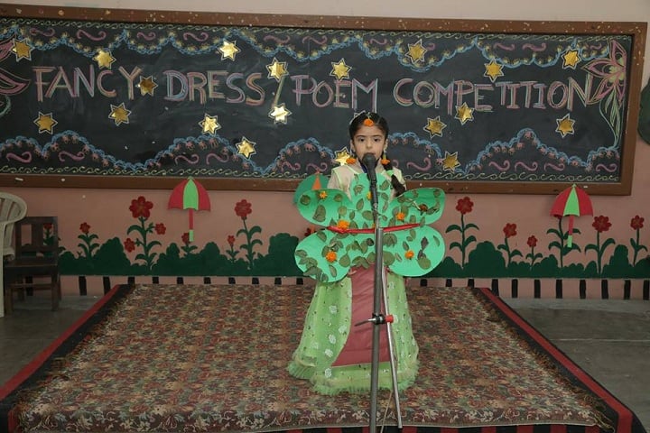 Dayanand Model Senior Secondary School-Fancy Dress
