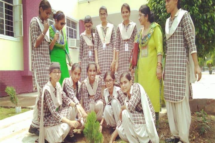 Delhi International School-Tree Plantation