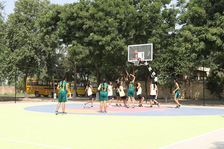 Delhi Public School- Sports