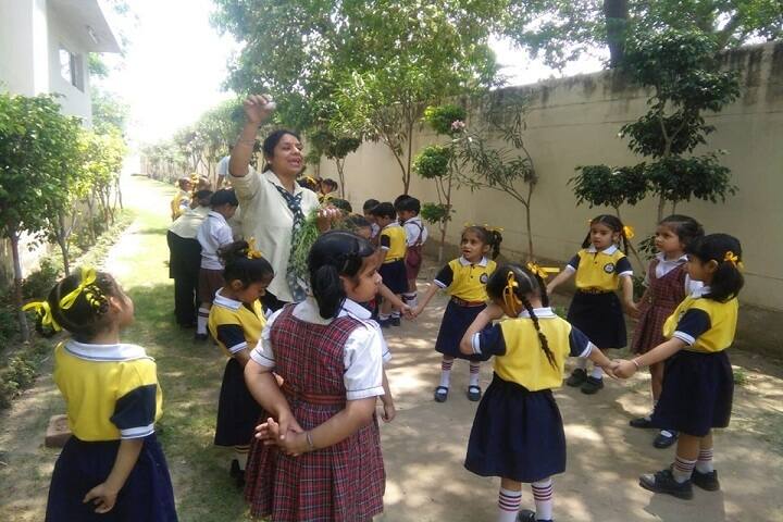 DIPS School-Activities