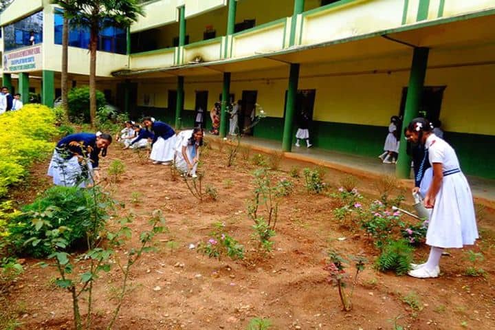 Alluri Sitaramaraju Public School-Garden