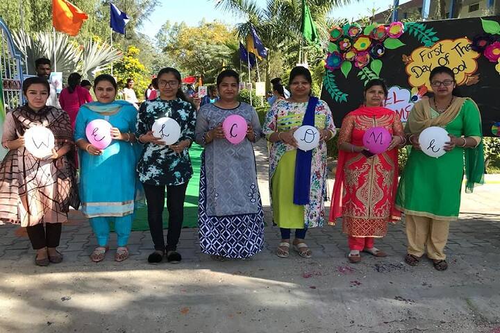Dr Dev Raj Dayanand Anglo Vernacular Senior Secondary Public School-Celebrations