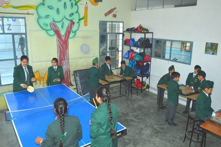 EMM AAR International School-Indoor Games