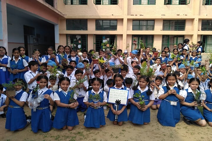 Gem Public School-Plantation