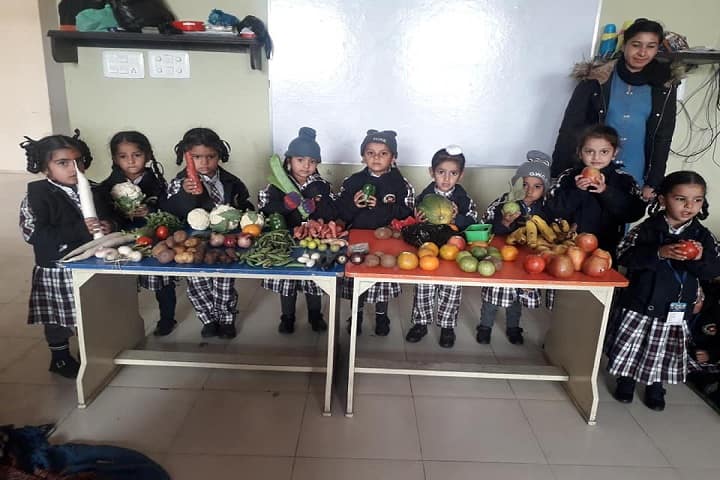 Global Wisdom Convent School-Food Mart