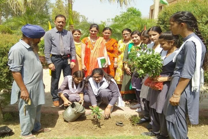 Golden Earth Convent School-Planting Tree