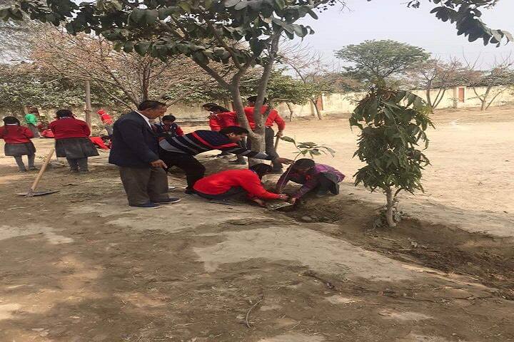Government Model School-Tree Plantation