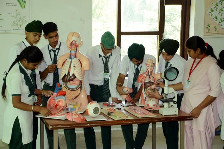 Green Valley Public School-Biology Lab