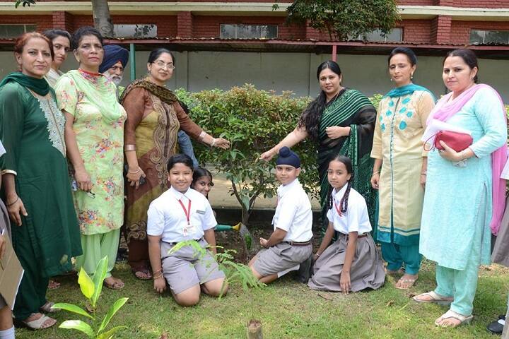 Gujrawala Guru Nanak Public School-Plantation