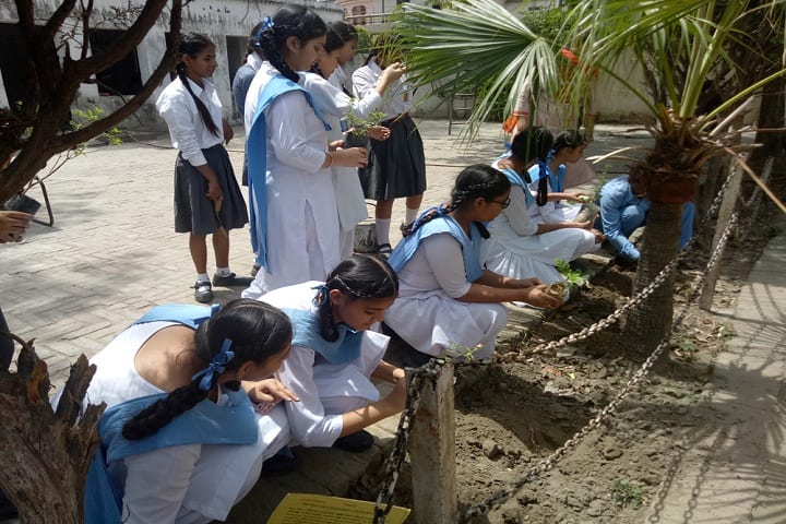 Guru Amar Dass Public School-Tree Plantation