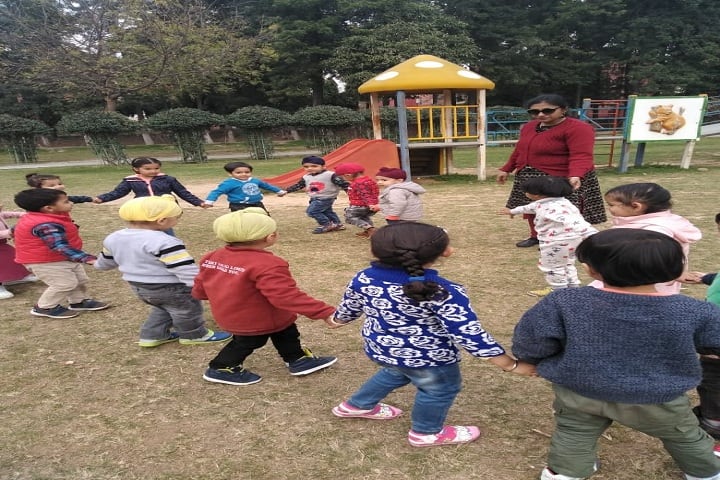 Gurukul World School-Play Area