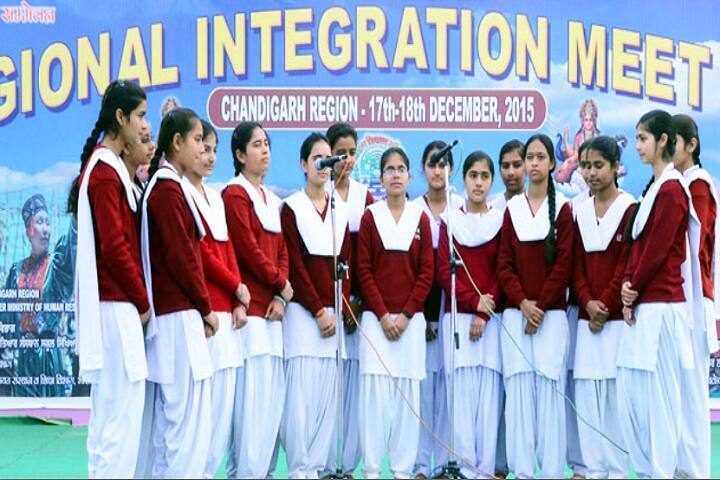 Jawahar Navodaya Vidyalaya-Performance