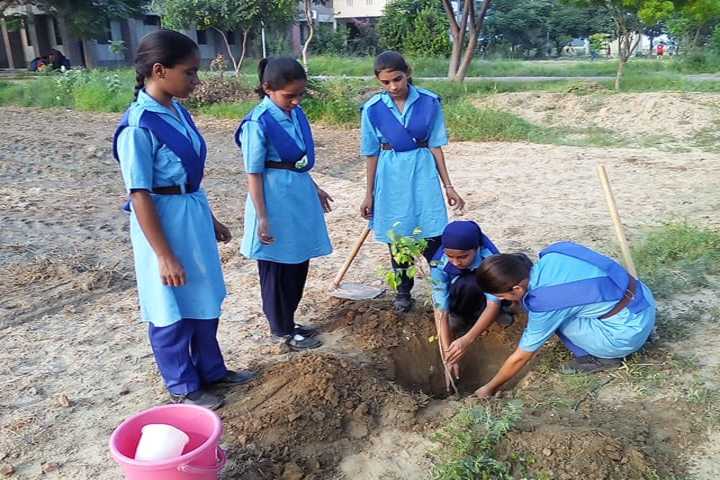 Jawahar Navodaya Vidyalaya-Plantation