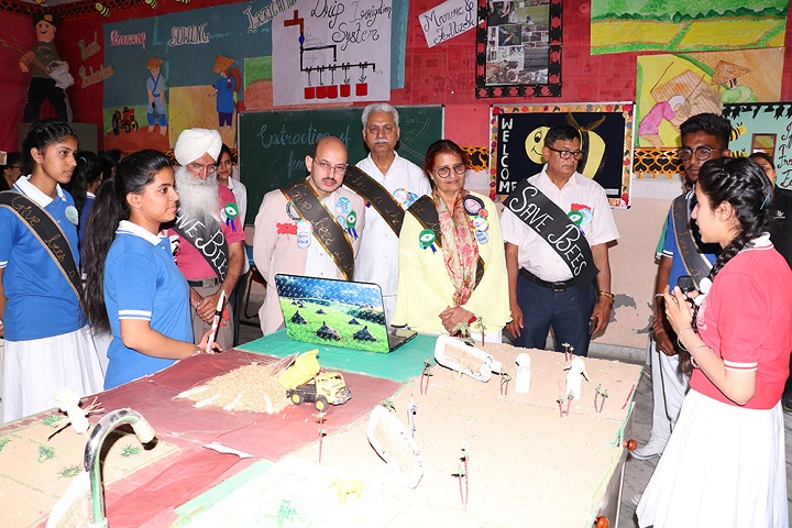 Kamla Nehru Public School-Activity