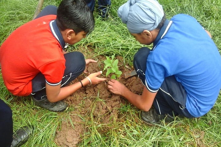 Kendriya Vidyalaya-Tree Plantation