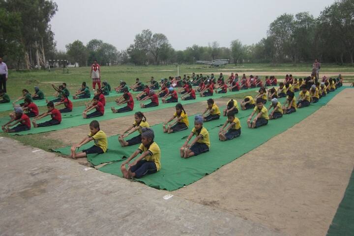 Kendriya Vidyalaya-Yoga Day