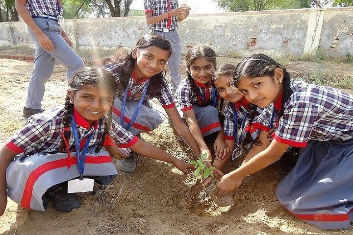 Kendriya Vidyalaya-Tree Plantation