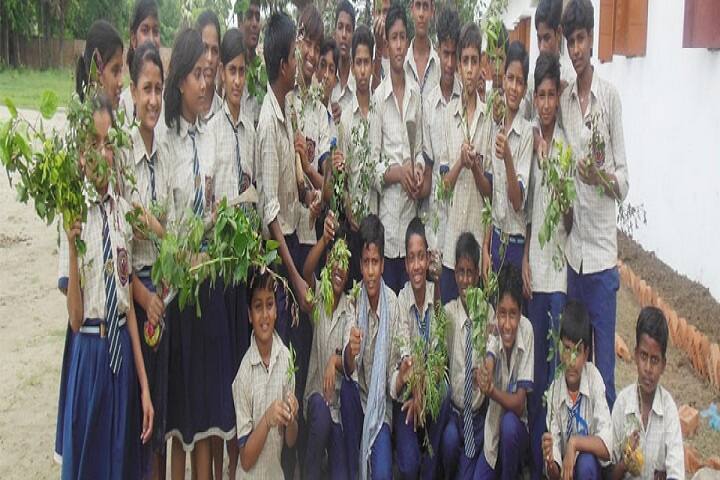 Infant Jesus Academy-Tree Plantation