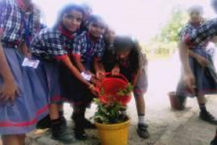 Kendriya Vidyalaya-Plantation